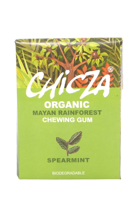 Žvýkačky Spearmint 30g